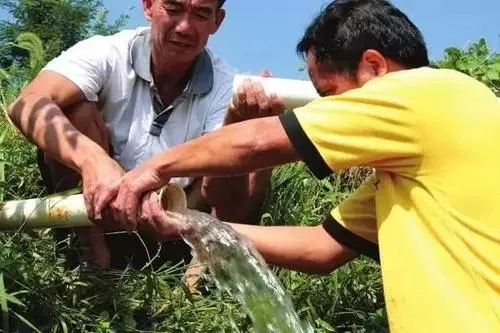 农村地区居民如何选购家用净水器？